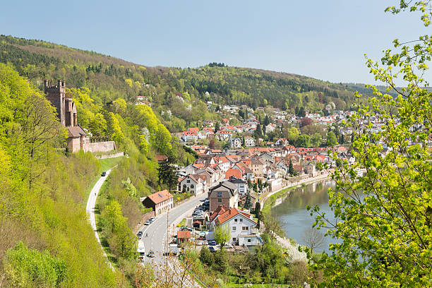istock Mittelburg castle above Neckarsteinach 186523300