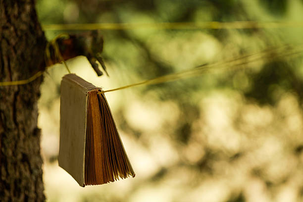 istock Hanging book in nature 186524326
