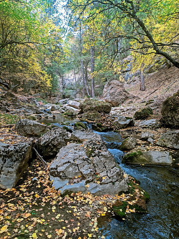 Autumn over the Guadalentín River in the Cazorla, Segura and Las Villas natural park.