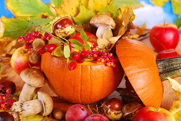 istock autumn harvest in the pumpkin 186525389