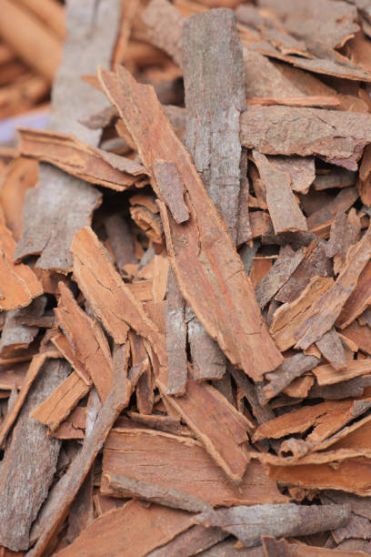 istock closeup of Cinnamon sticks background 1865264440