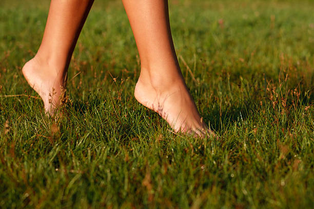 istock close-up of female legs 186526465