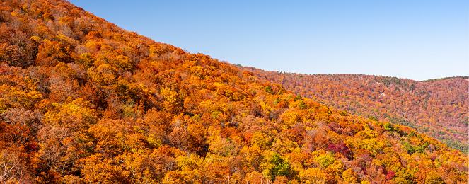 Autumn colors on the Blue Ridge Parkway in North Carolina