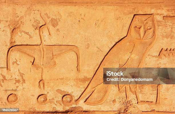 Antichi Geroglifici Sulle Pareti Del Complesso Del Tempio Di Karnak Luxor - Fotografie stock e altre immagini di Africa