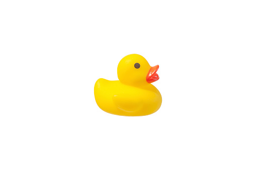 a pair of smiling rubber duck on white background