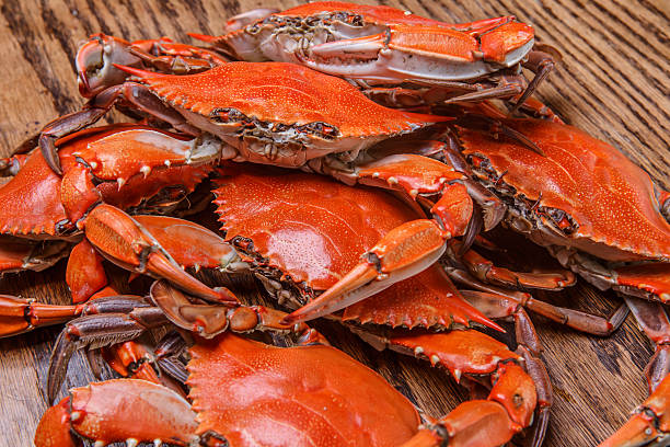 istock Steamed Blue Crabs on a wooden table 186527711