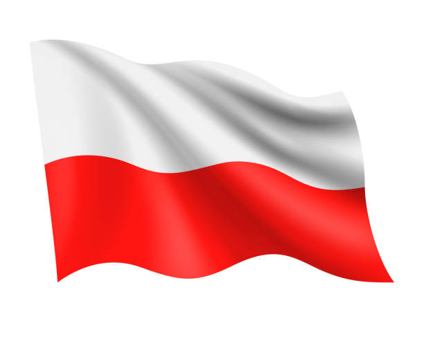 stockillustraties, clipart, cartoons en iconen met poland - vector waving realistic flag. flag of poland isolated on white background - poolse vlag