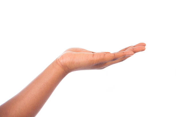 istock Hand sign isolated on white background 186529769