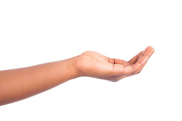 istock Hand sign isolated on white background 186529959