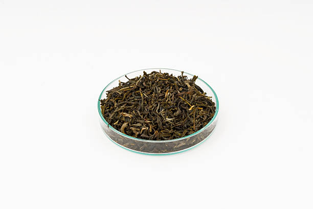 Jasmine tea stock photo