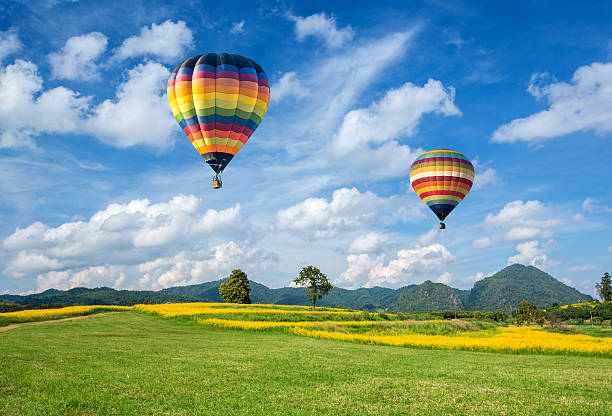 istock Two hot air balloons flying a over a yellow field 186533135