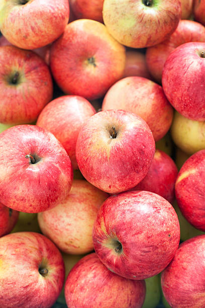 istock Many colorful fresh red apples 186533550