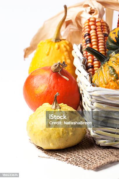 Mini Abóboras Outono - Fotografias de stock e mais imagens de Abóbora-Menina - Cucúrbita - Abóbora-Menina - Cucúrbita, Agricultura, Alimentação Saudável