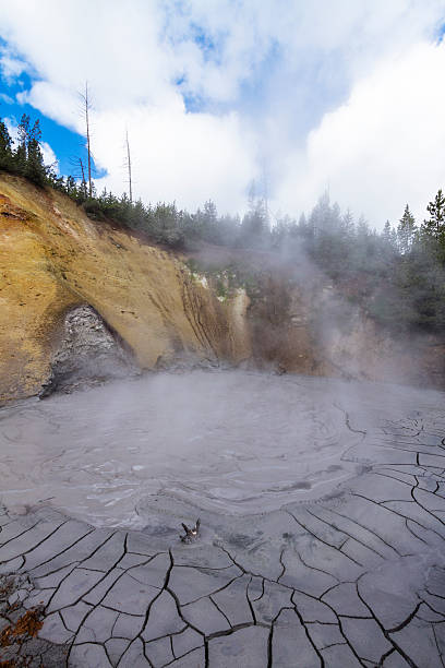 Geyser, Yellowstone National Park, Wyoming, USA stock photo