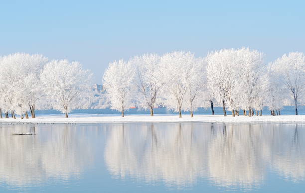 hermoso paisaje de invierno con reflejo en el agua - enero fotografías e imágenes de stock