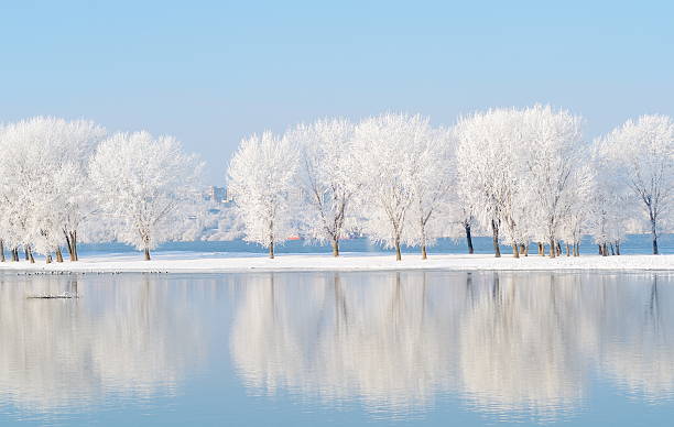 winter landscape with beautiful reflection in the water winter landscape with white trees reflecting in the water snow landscape stock pictures, royalty-free photos & images