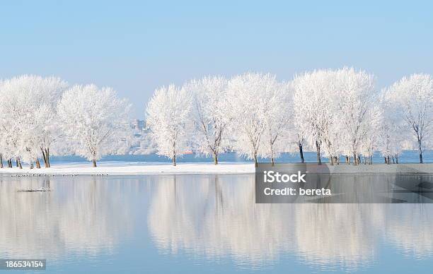 Winter Landscape With Beautiful Reflection In The Water Stock Photo - Download Image Now