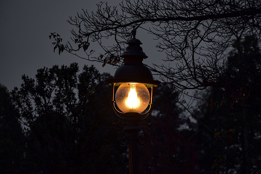 A light up street lamp at a public park