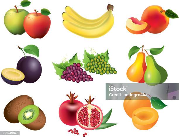 Frutta Foto Realistica Vettoriale Set - Immagini vettoriali stock e altre immagini di Albicocca - Albicocca, Alimentazione sana, Arancione