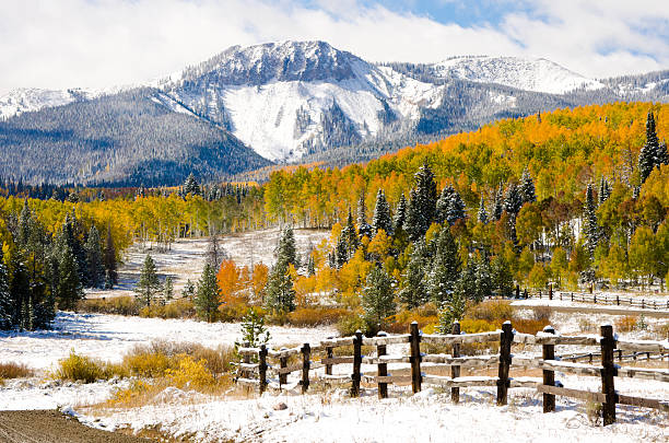 Picturesque scene with fence, fir trees and snowy mountains Early Autumn Aspens and snow. steamboat springs stock pictures, royalty-free photos & images