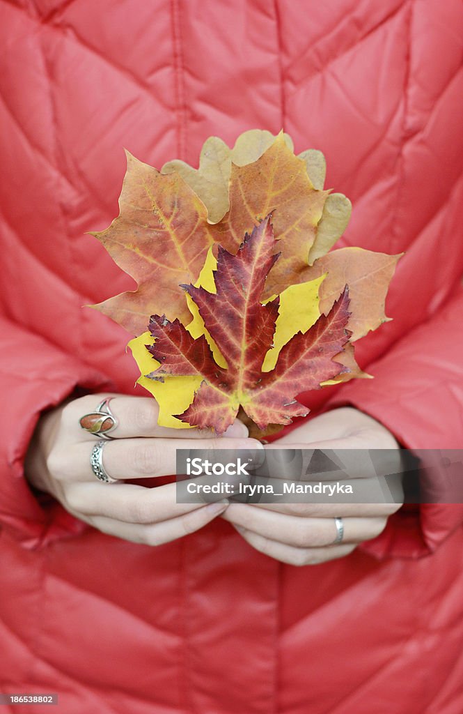 Folhas de outono com as mãos - Foto de stock de Adolescente royalty-free
