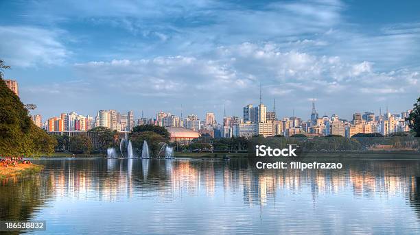 Amazing View Of Sao Paulo City From Ibirapuera Park Stock Photo - Download Image Now