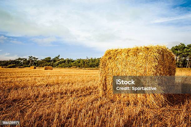 Colhidas Fardo De Palha - Fotografias de stock e mais imagens de Agricultura - Agricultura, Amarelo, Ao Ar Livre