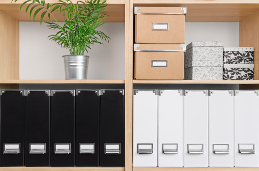 Shelves with storage boxes, black and white folders, and green plant.