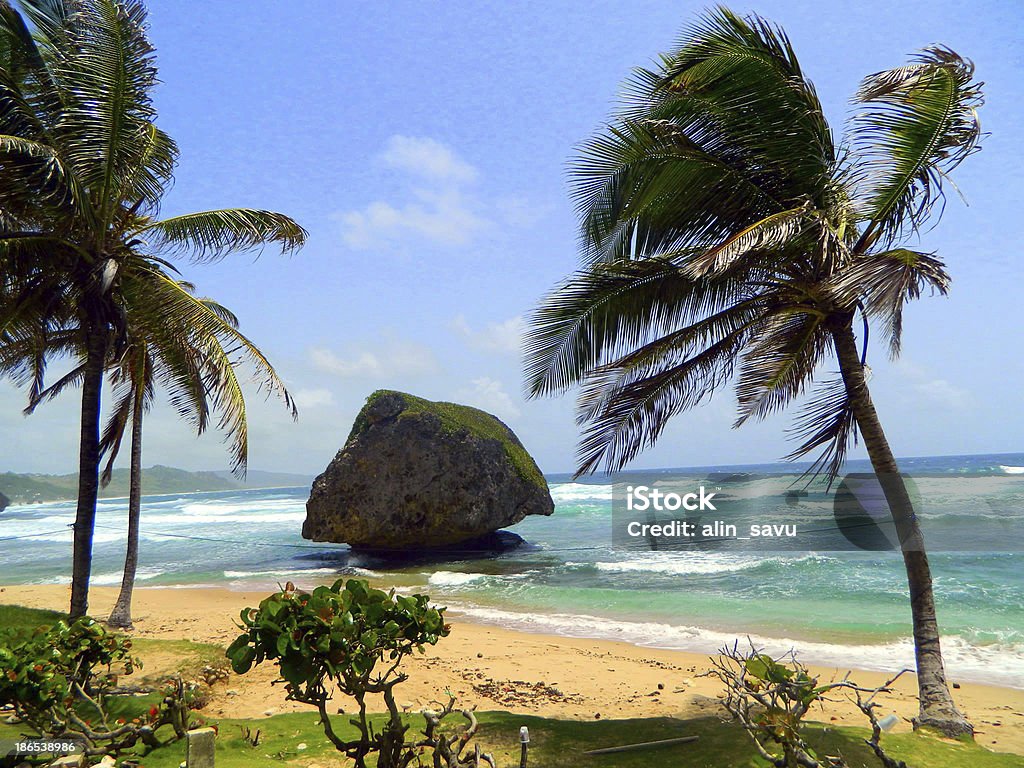 Hawaii Island Beach Stock Photo