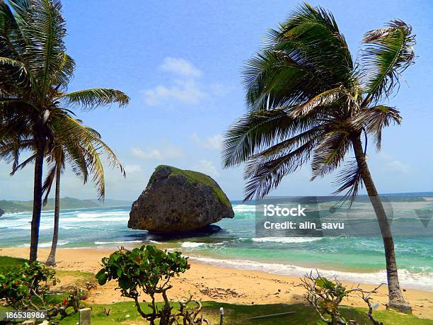 Hawaii Island Stock Photo - Download Image Now - Beach, Beauty In Nature, Big Island - Hawaii Islands