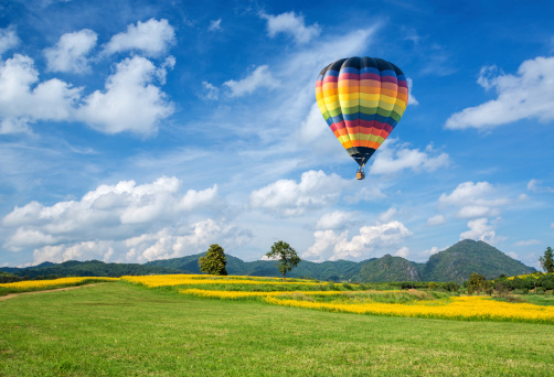 Hot air balloon over the yellow flower field