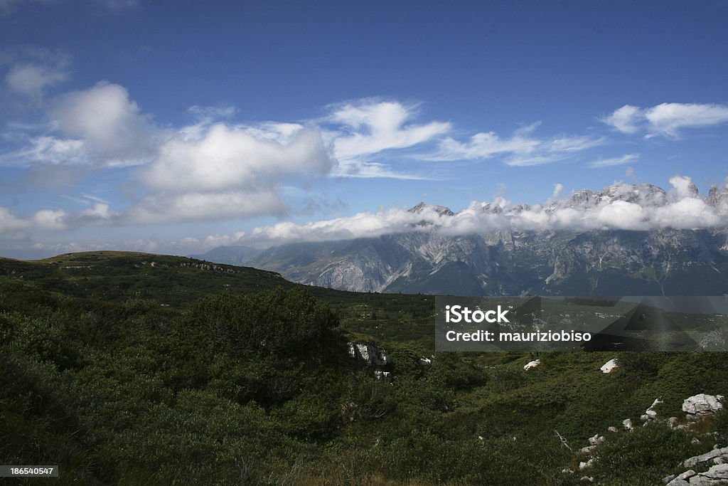 De Mountain meadows - Photo de Bois libre de droits