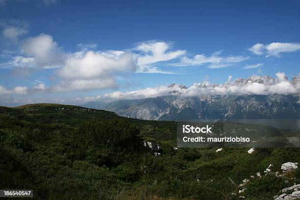 Photo libre de droit de De Mountain Meadows banque d'images et plus d'images libres de droit de Bois - Bois, Ciel, Ciel sans nuage