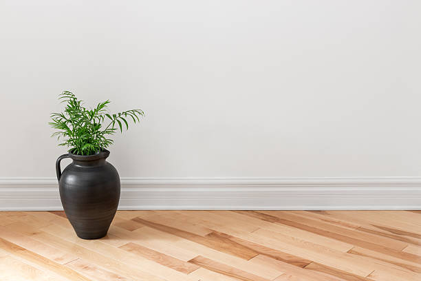Amphora with green plant decorating a room stock photo