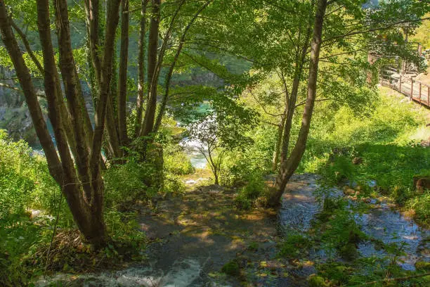 A small stream at the side of Strbacki Buk, a terraced waterfall on the Una River on the border between the Federation of Bosnia and Herzegovina and Croatia. Early September