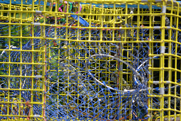 istock Steel Lobster Trap 186541790