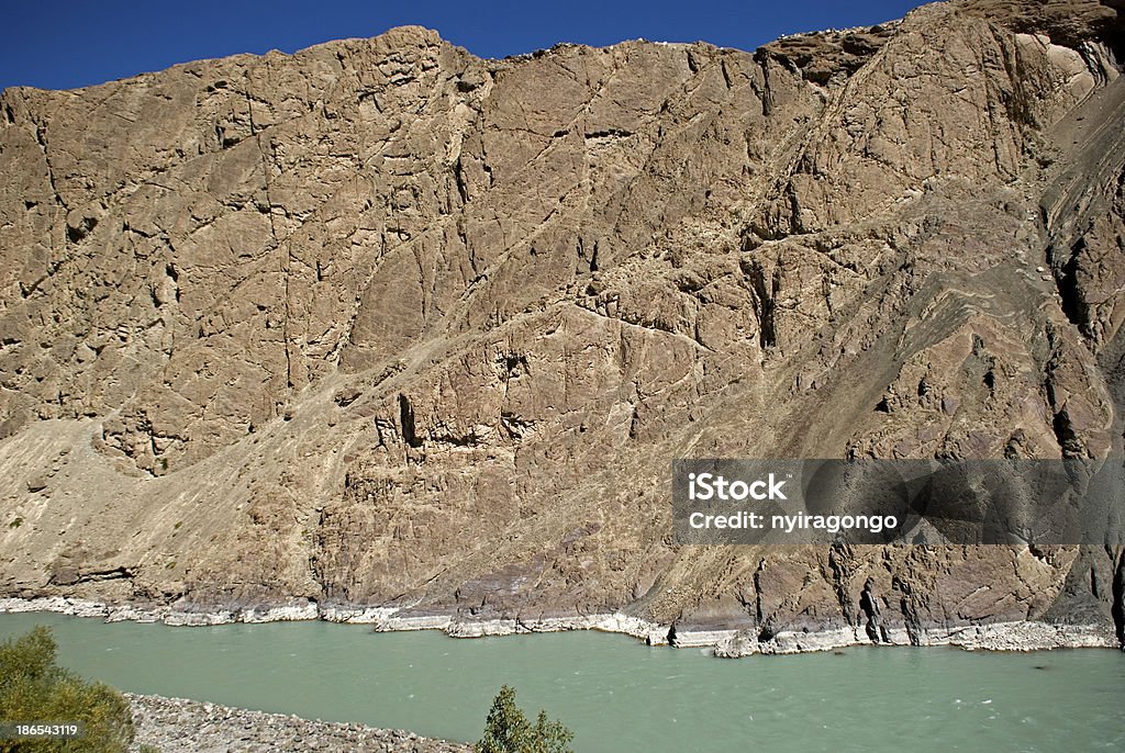 Rio Indus, Ladakh, Índia - Foto de stock de Arbusto royalty-free