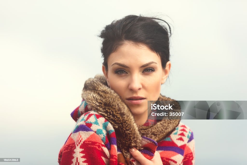 Inverno bellezza - Foto stock royalty-free di Jersey