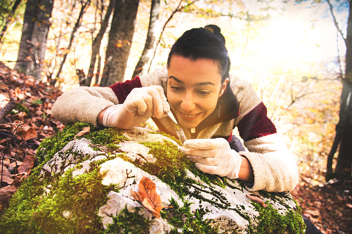Young researcher woman examines plants and water in the forest.