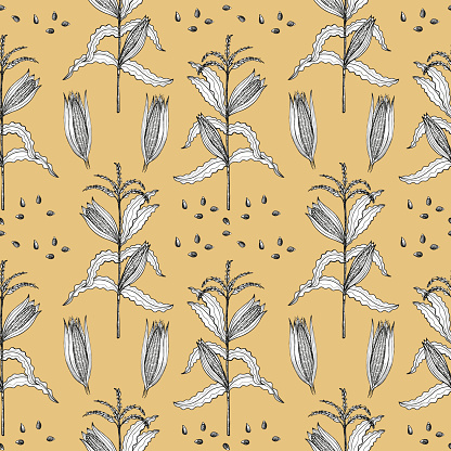 Corn Background Hand Drawn Seamless Pattern Vector Repeating Backdrop ...