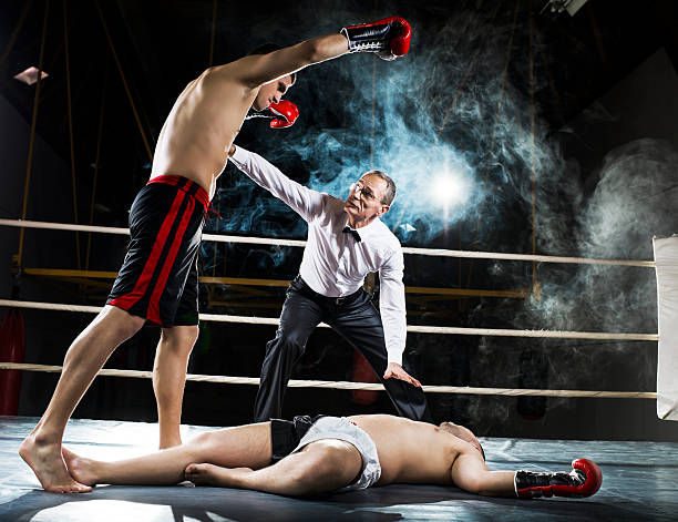 Knockout! Boxing. One boxer has received a knockout and is lying down, while the other is celebrating victory.    boxing referee stock pictures, royalty-free photos & images