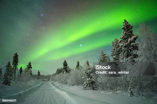 Aurora Boreal Más De Una Pista De Invierno Paisaje Laponia Finlandesa Foto de stock y más banco de imágenes de Laponia finlandesa