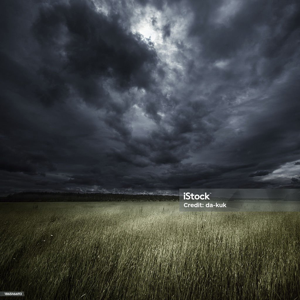 Campo en tormenta - Foto de stock de Noche libre de derechos