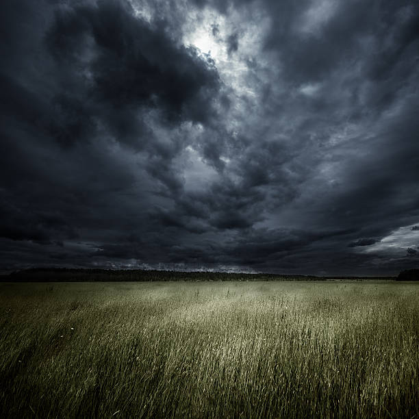 campo at storm - nature rain crop europe foto e immagini stock