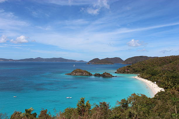 istock White Sand Beach, Trunk Bay, St. John's, Virgin Islands, Caribbean 186546840