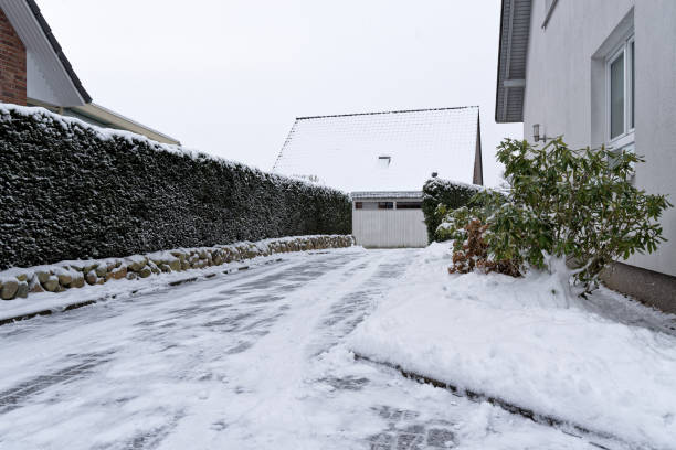 Snow-covered access road to a house along green hedge