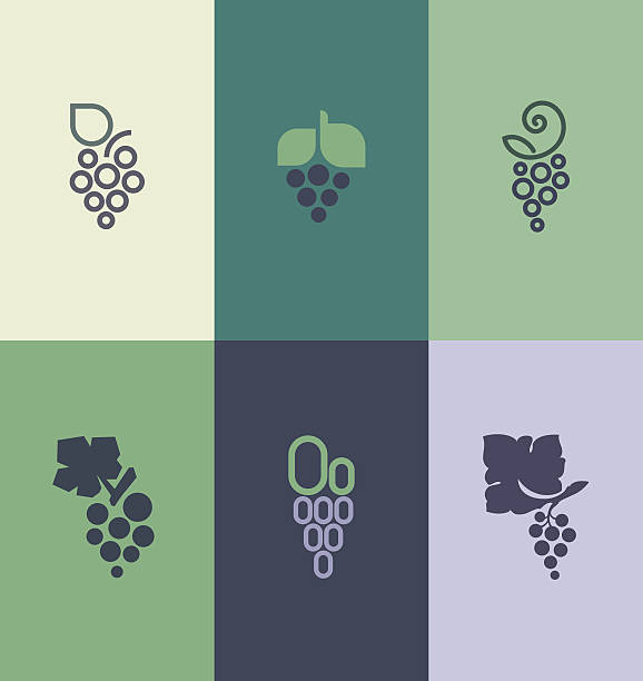 wyciąg z liści.  logo szablony zestaw - grape nature design berry fruit stock illustrations