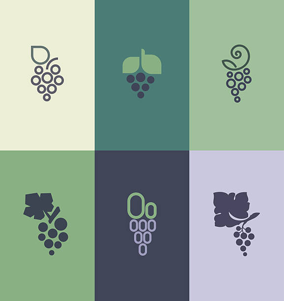 ilustrações de stock, clip art, desenhos animados e ícones de com folha de uva.  conjunto de modelos de logotipo - uvas