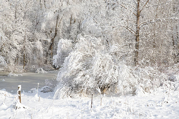 istock Heavy blanket of frost 186549067
