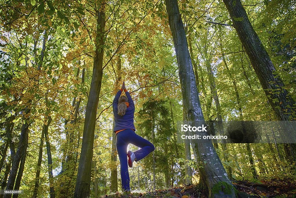 Mulher no Outono de madeira fazer Joga, HDR - Royalty-free Adulto Foto de stock